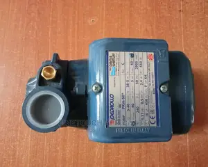 Pedrollo Pump Pkm60