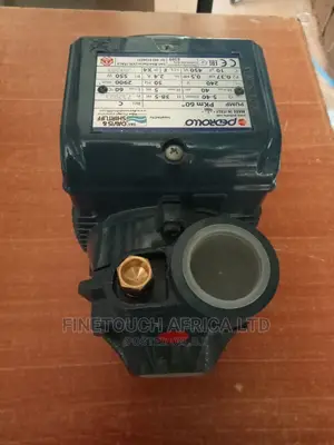 Pedrollo Pump Pkm60