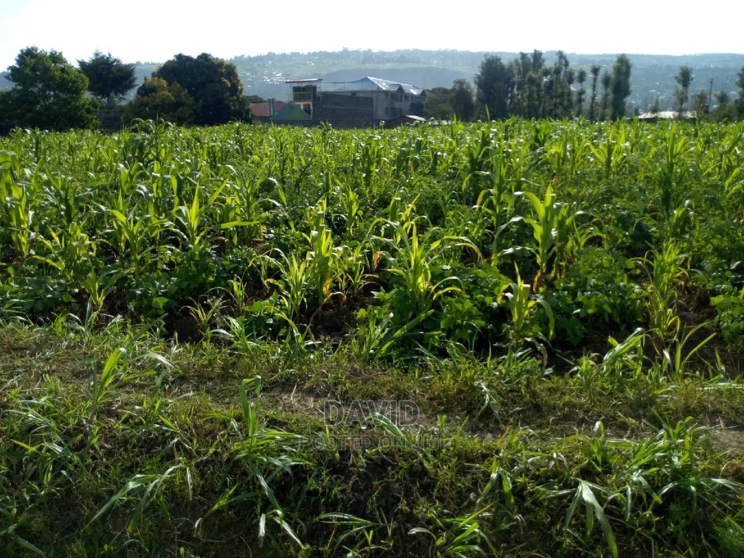 Plot for Sale in Maili Sita Nakuru