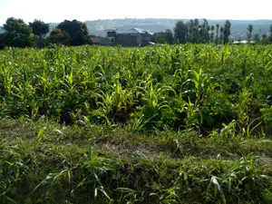 Plot for Sale in Maili Sita Nakuru
