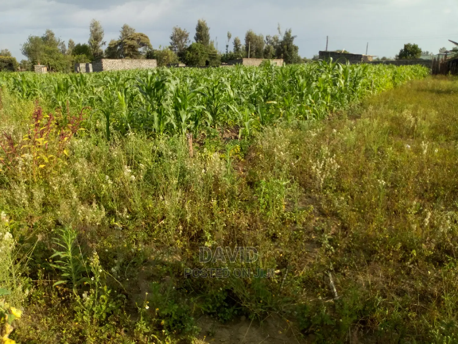 Plot for Sale in Maili Sita Nakuru