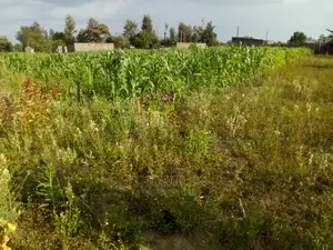 Plot for Sale in Maili Sita Nakuru
