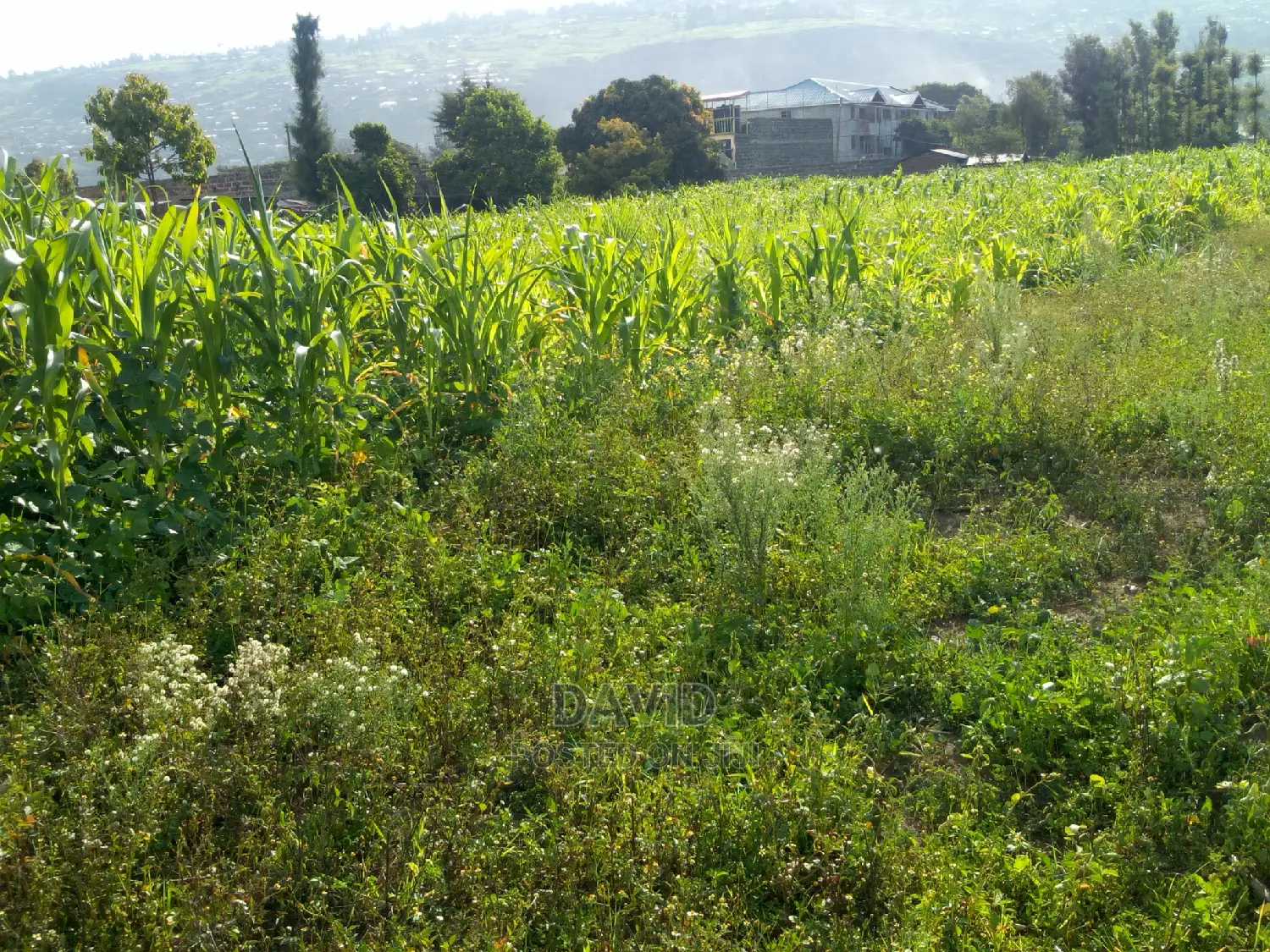 Plot for Sale in Maili Sita Nakuru