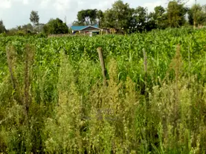 Plot for Sale in Maili Sita Nakuru