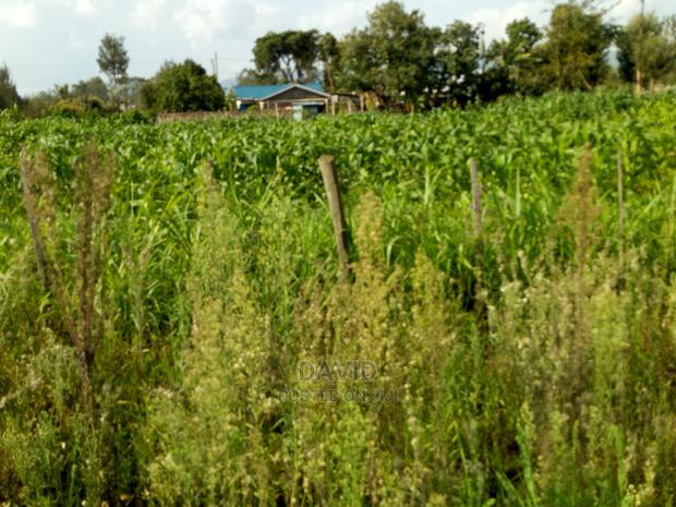 Plot for Sale in Maili Sita Nakuru - thumbnail 5