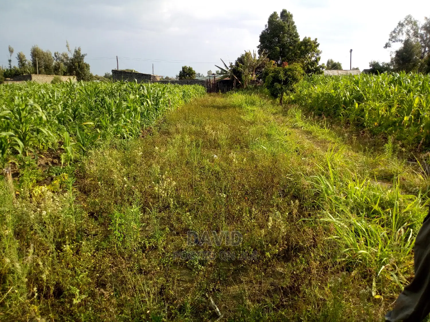 Plot for Sale in Maili Sita Nakuru