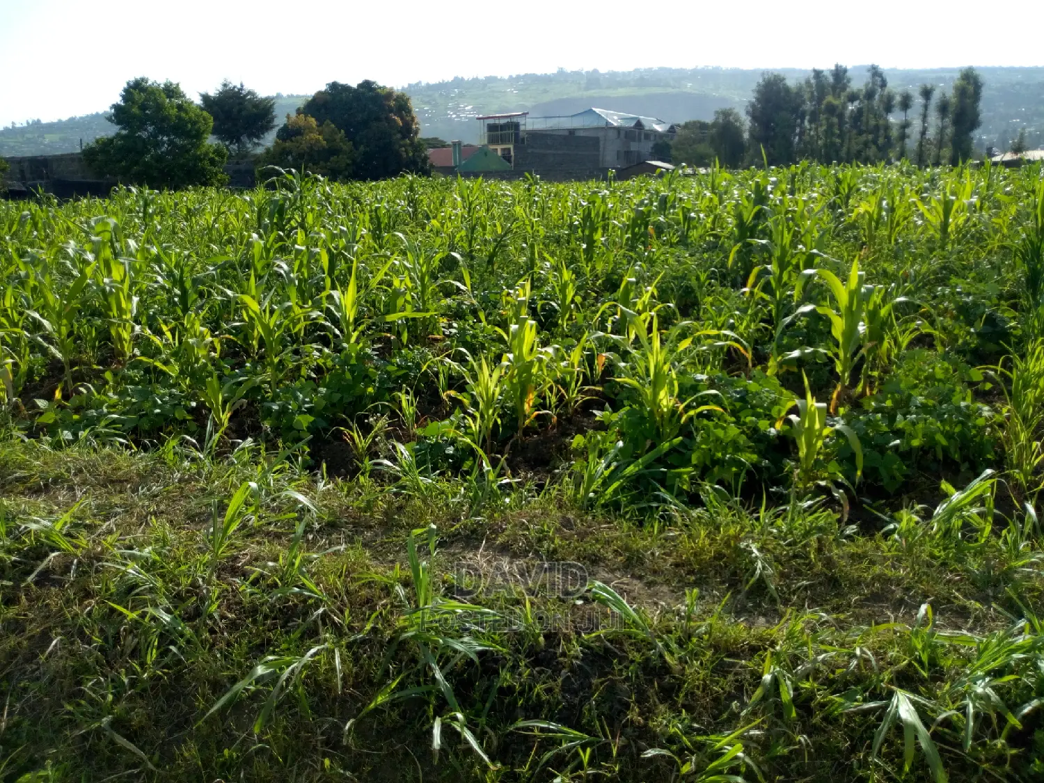 Plot for Sale in Maili Sita Nakuru