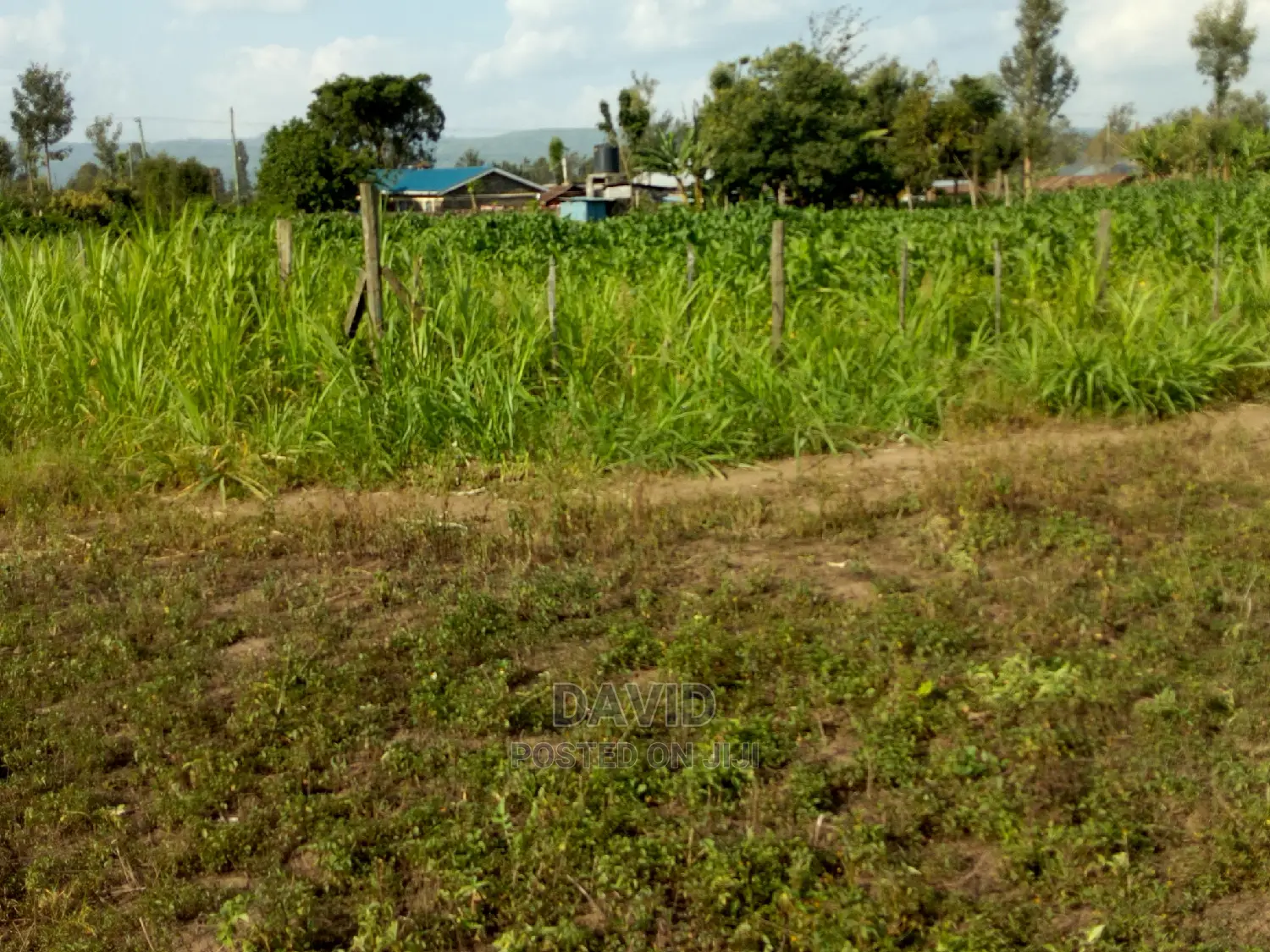 Plot for Sale in Maili Sita Nakuru