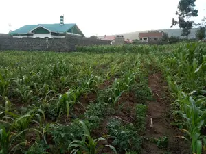 Plot for Sale in KITI Makao Project