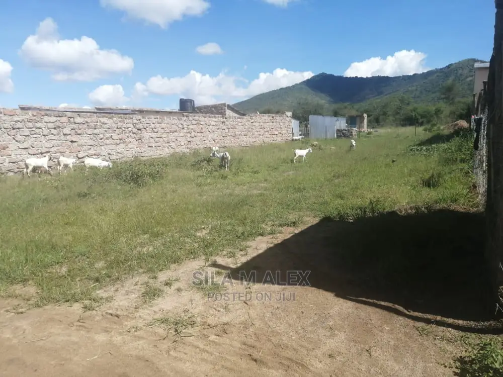 Plot for Sale 50x100ft Sultan Hamud