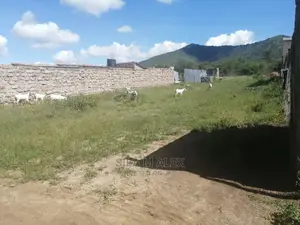 Plot for Sale 50x100ft Sultan Hamud