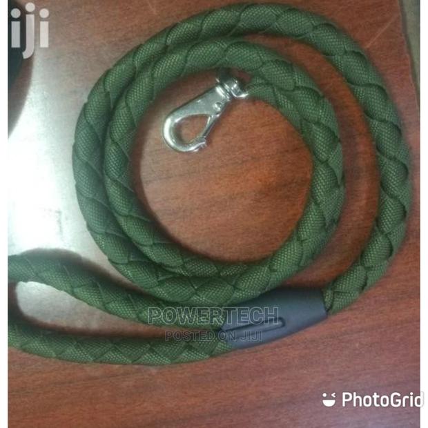 Dog Leash-Green - main view