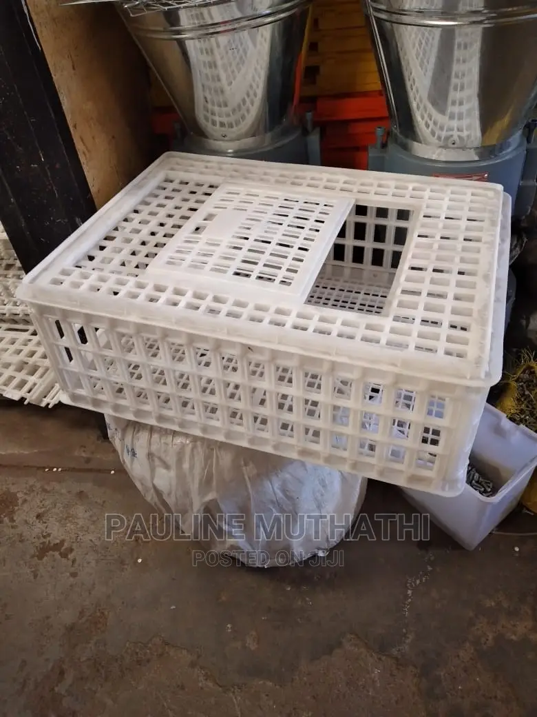 Chicken Transportation Crate/ Cage