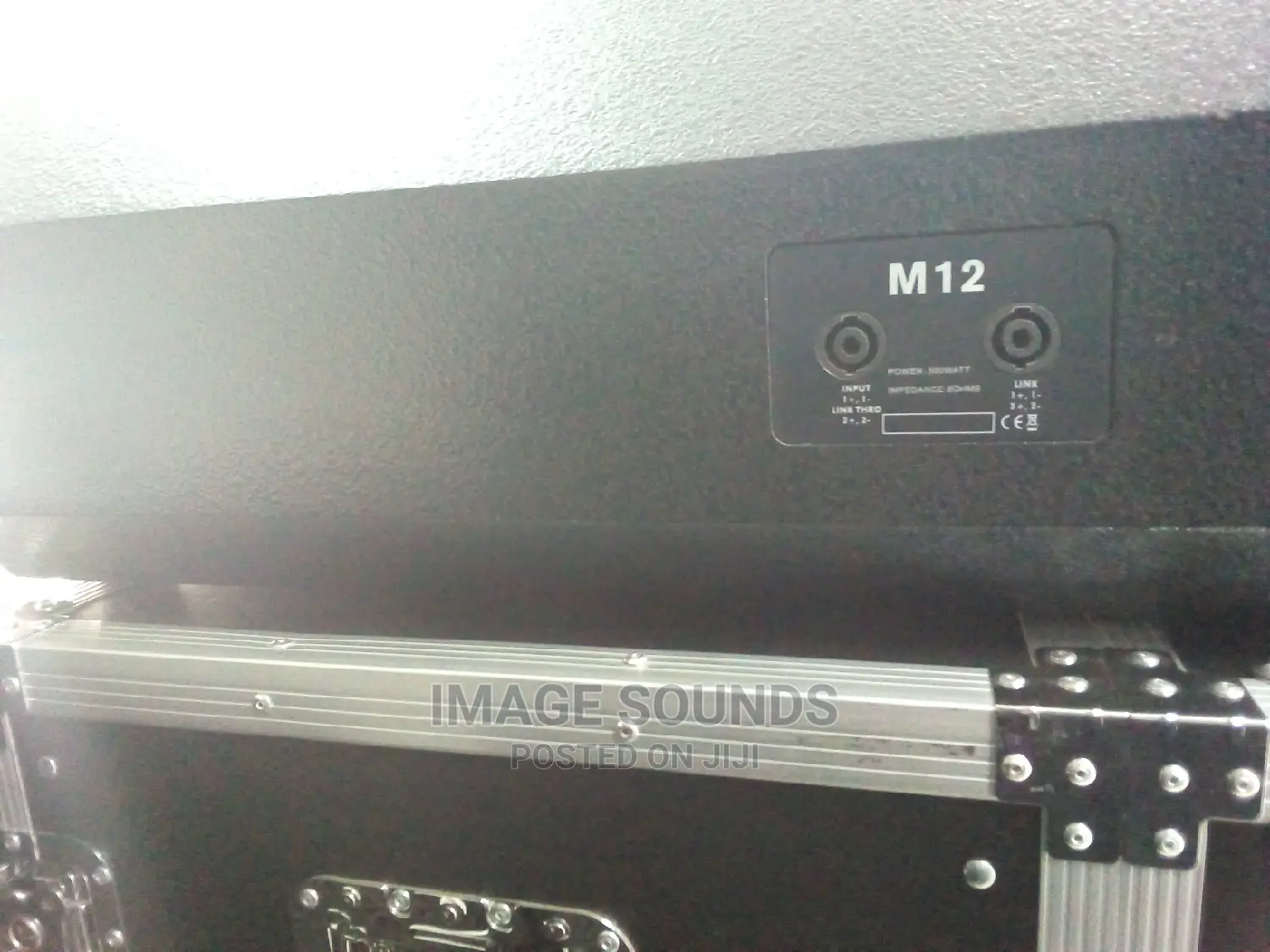 12" Monitor Speaker