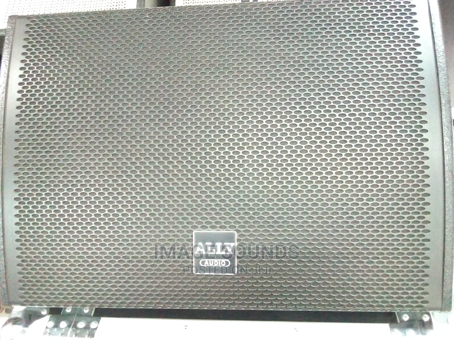 12" Monitor Speaker