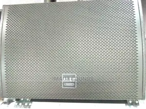 12" Monitor Speaker