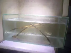 Inbuilt Home Aquarium