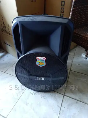 Trill TD-G400 Powered Speaker With One Wireless Microphone