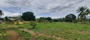 1 Acre Land on Sale,Bomani - thumbnail 2