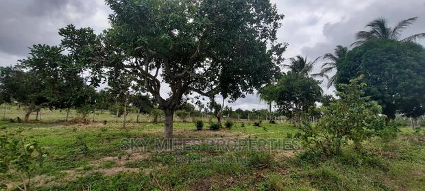 1 Acre Land on Sale,Bomani - thumbnail 6