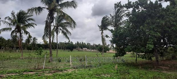 1 Acre Land on Sale,Bomani - thumbnail 7