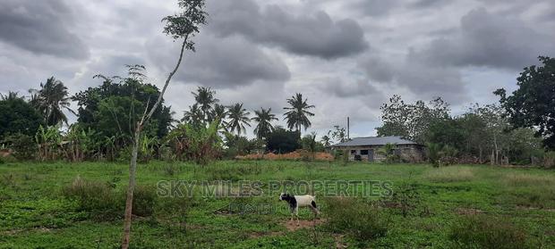1 Acre Land on Sale,Bomani - thumbnail 8