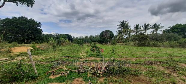 1 Acre Land on Sale,Bomani - thumbnail 10
