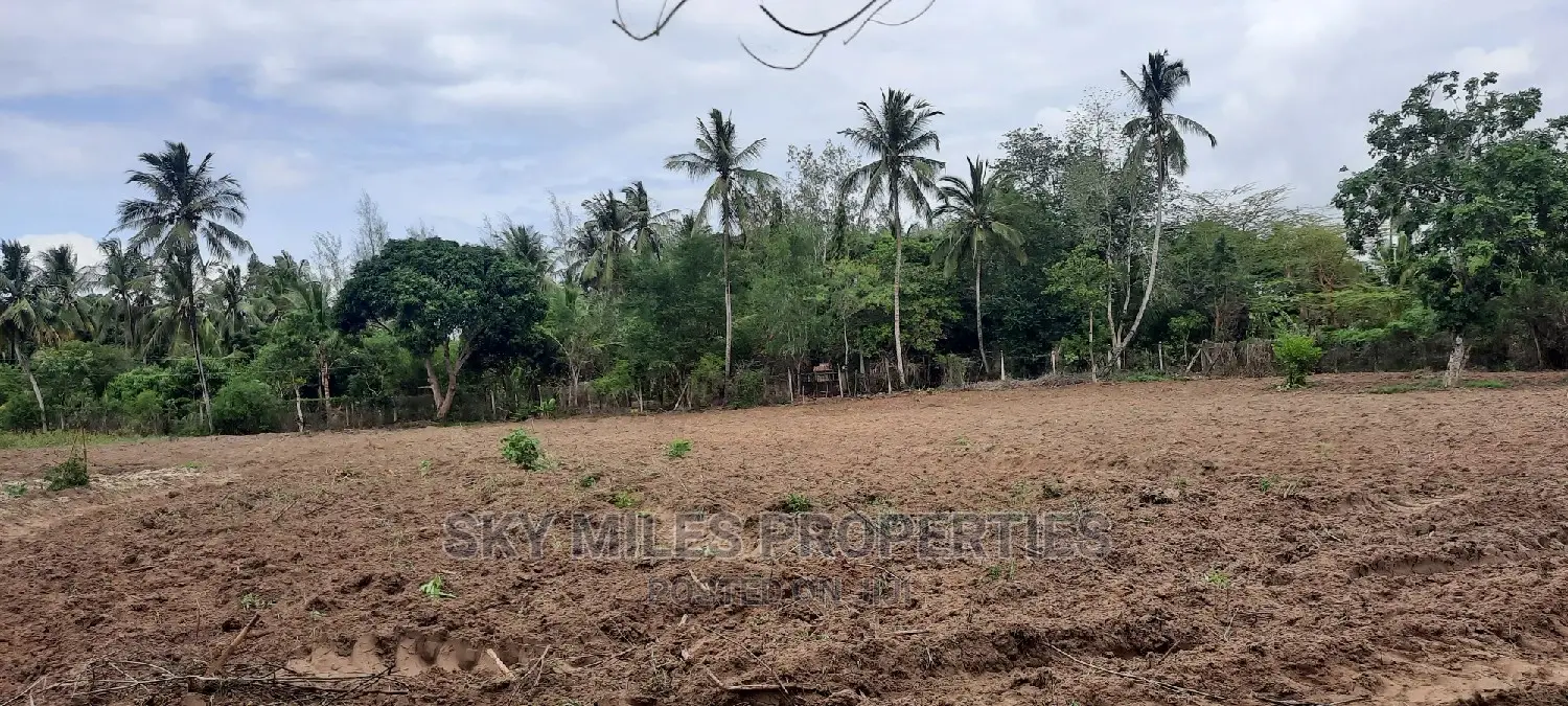 Bomani 6 Acres on Sale