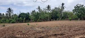 Bomani 6 Acres on Sale - thumbnail 2