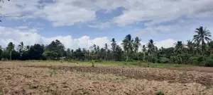 Bomani 6 Acres on Sale