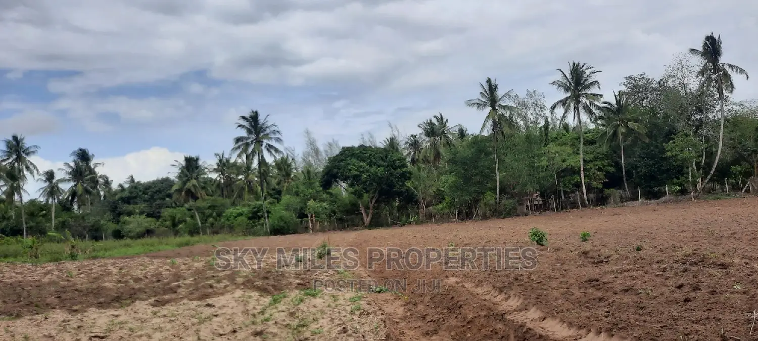 Bomani 6 Acres on Sale