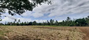 Bomani 6 Acres on Sale