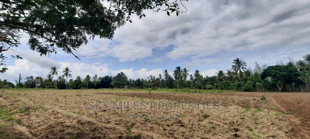 Bomani 6 Acres on Sale - thumbnail 5