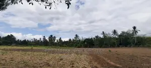 Bomani 6 Acres on Sale