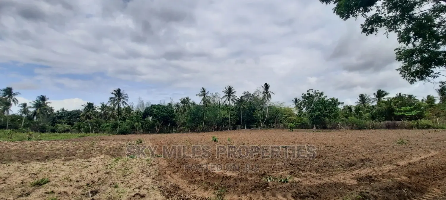 Bomani 6 Acres on Sale
