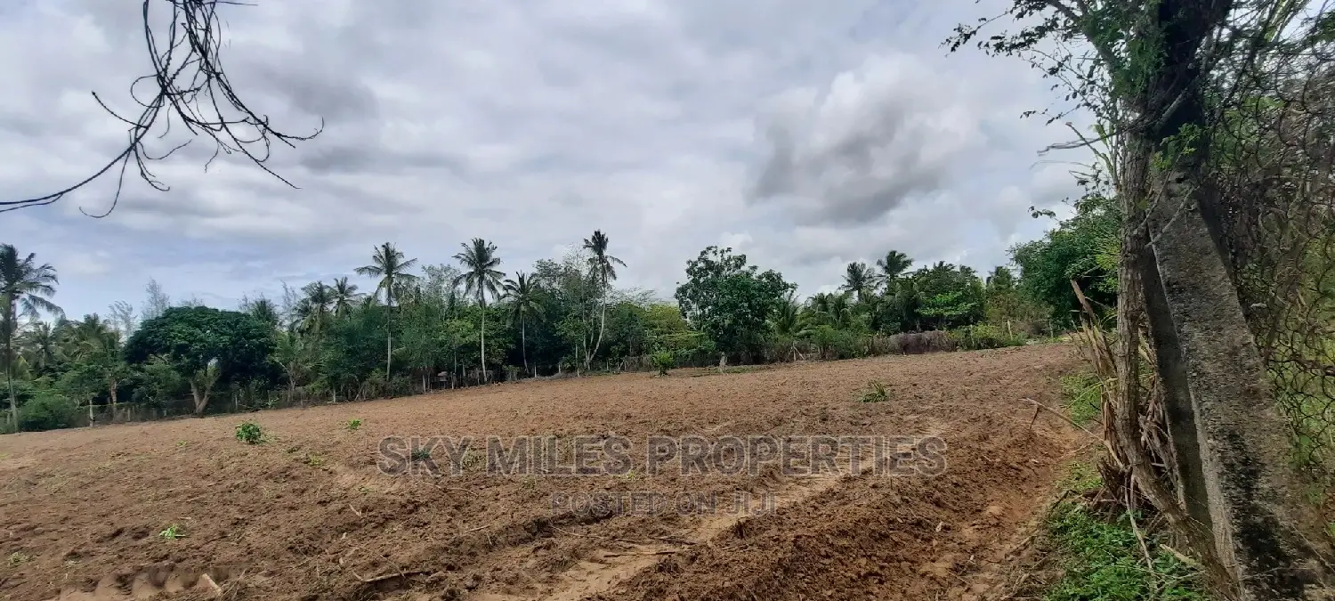 Bomani 6 Acres on Sale
