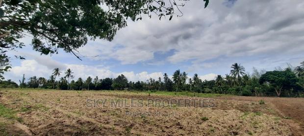 Bomani 6 Acres on Sale - thumbnail 9