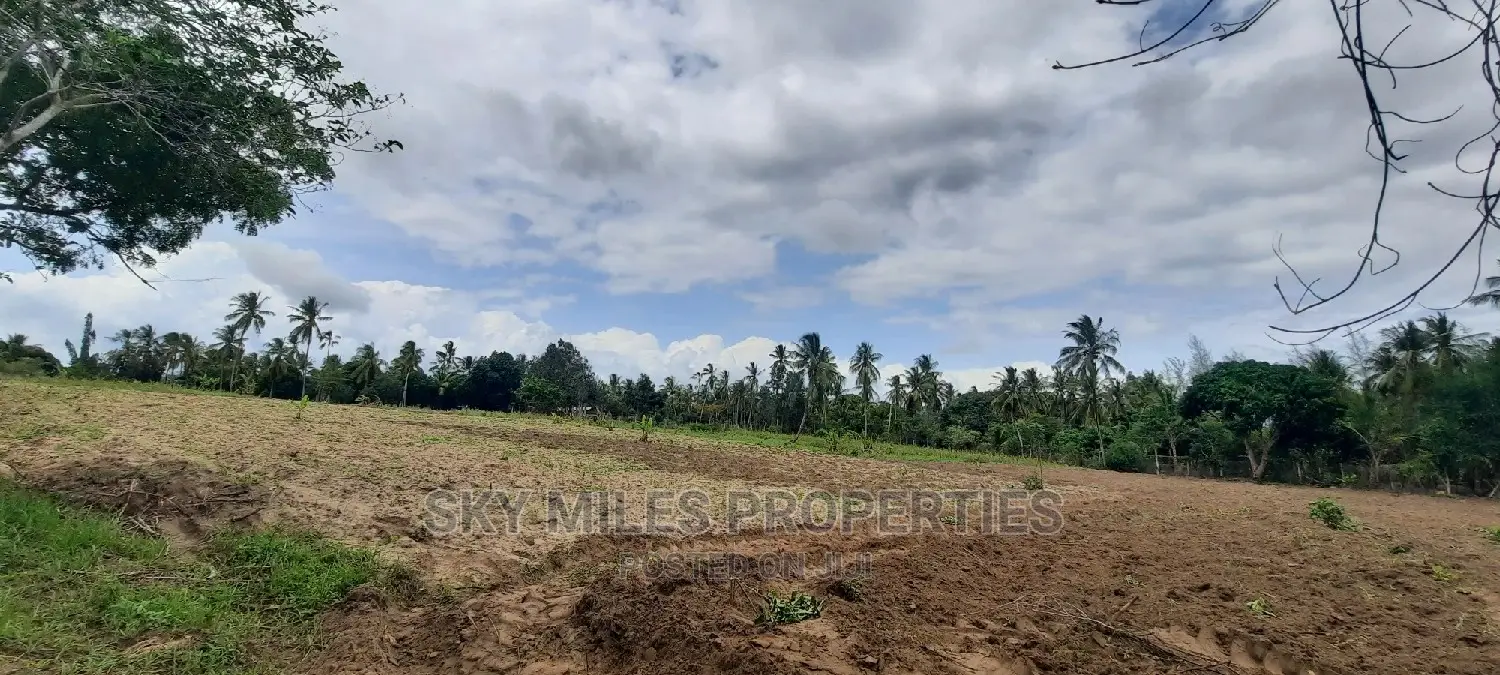 Bomani 6 Acres on Sale