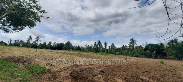 Bomani 6 Acres on Sale - thumbnail 10