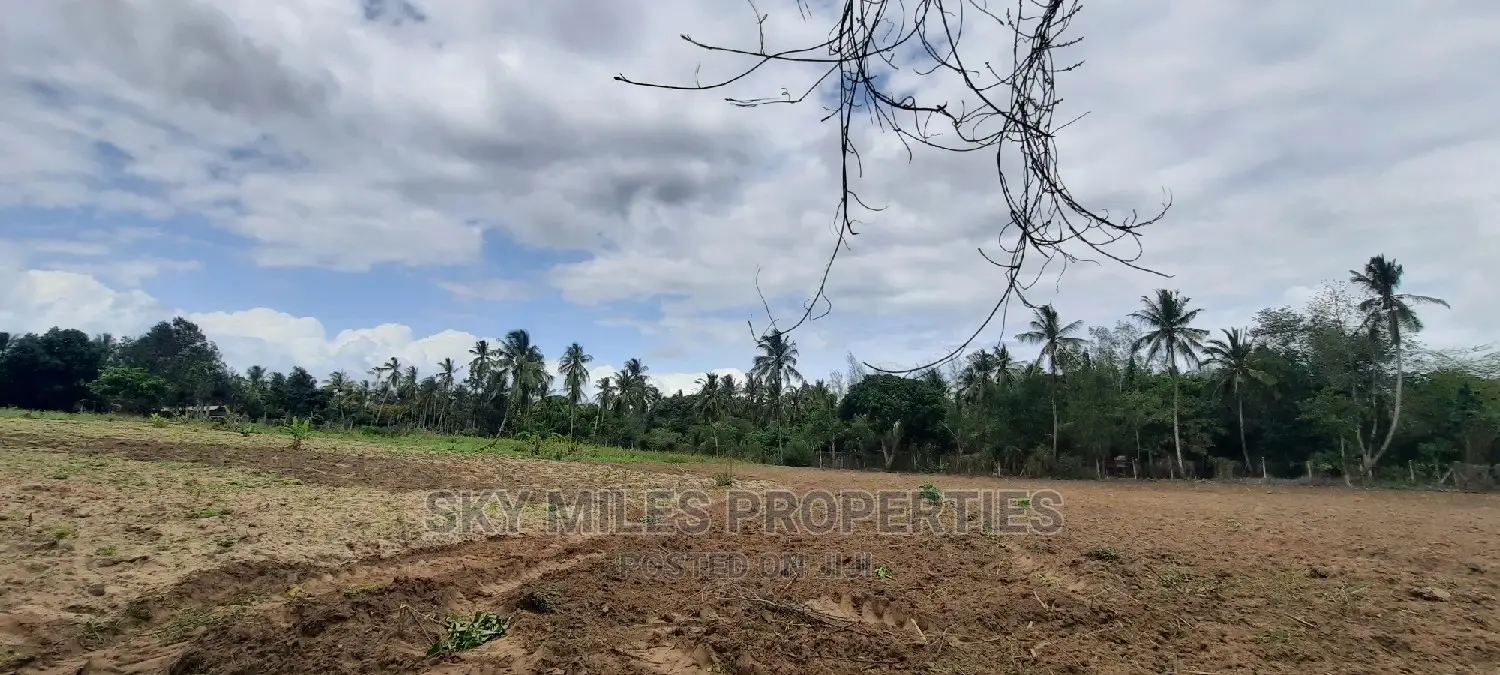Bomani 6 Acres on Sale