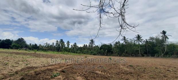 Bomani 6 Acres on Sale - thumbnail 11