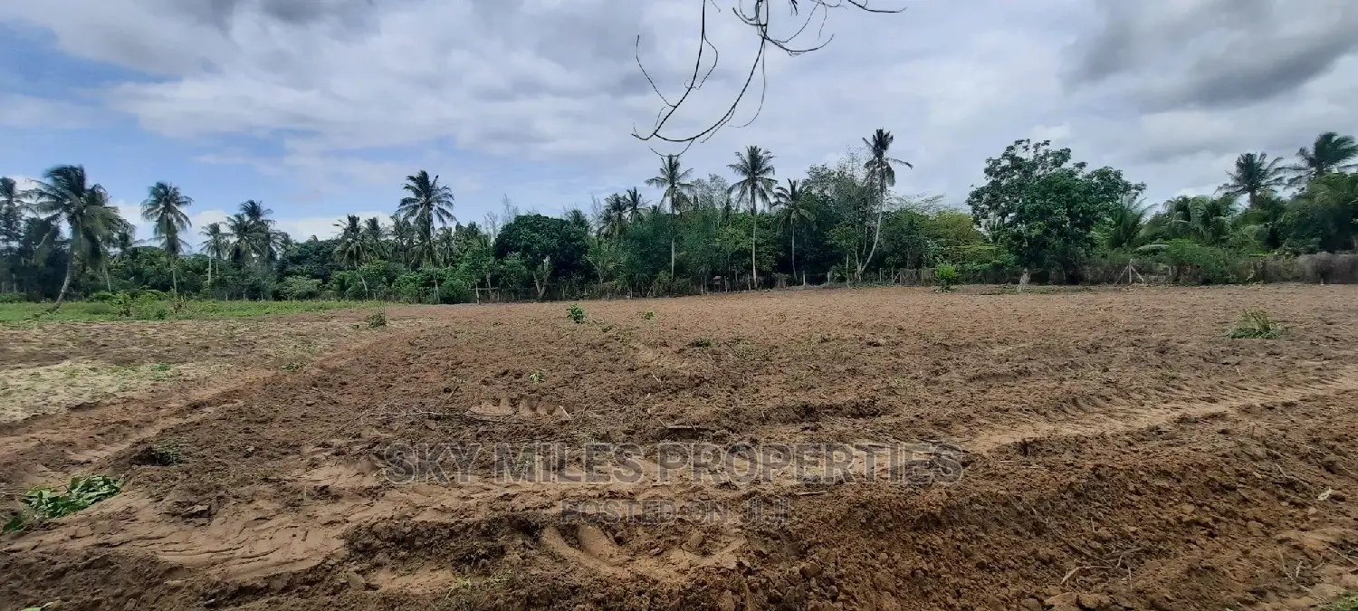 Bomani 6 Acres on Sale