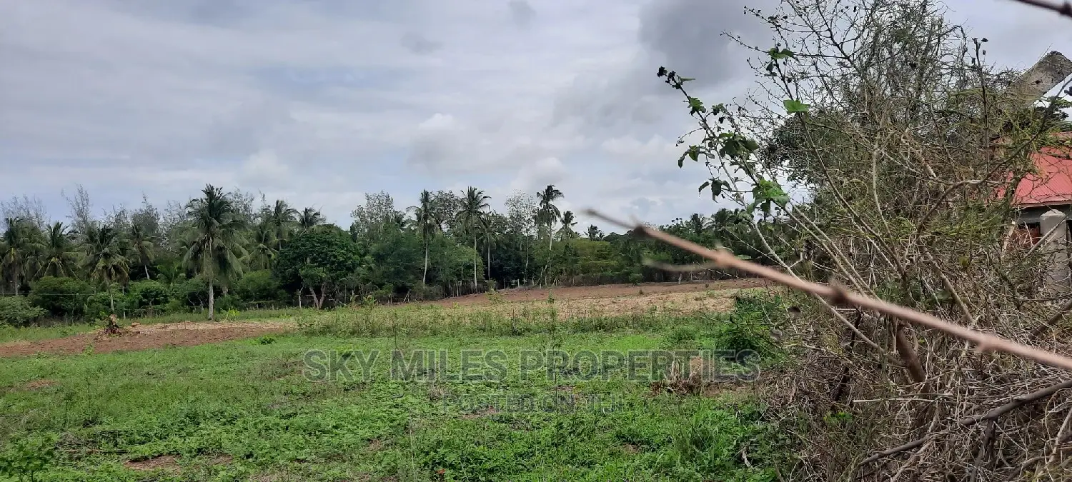 Bomani 6 Acres on Sale