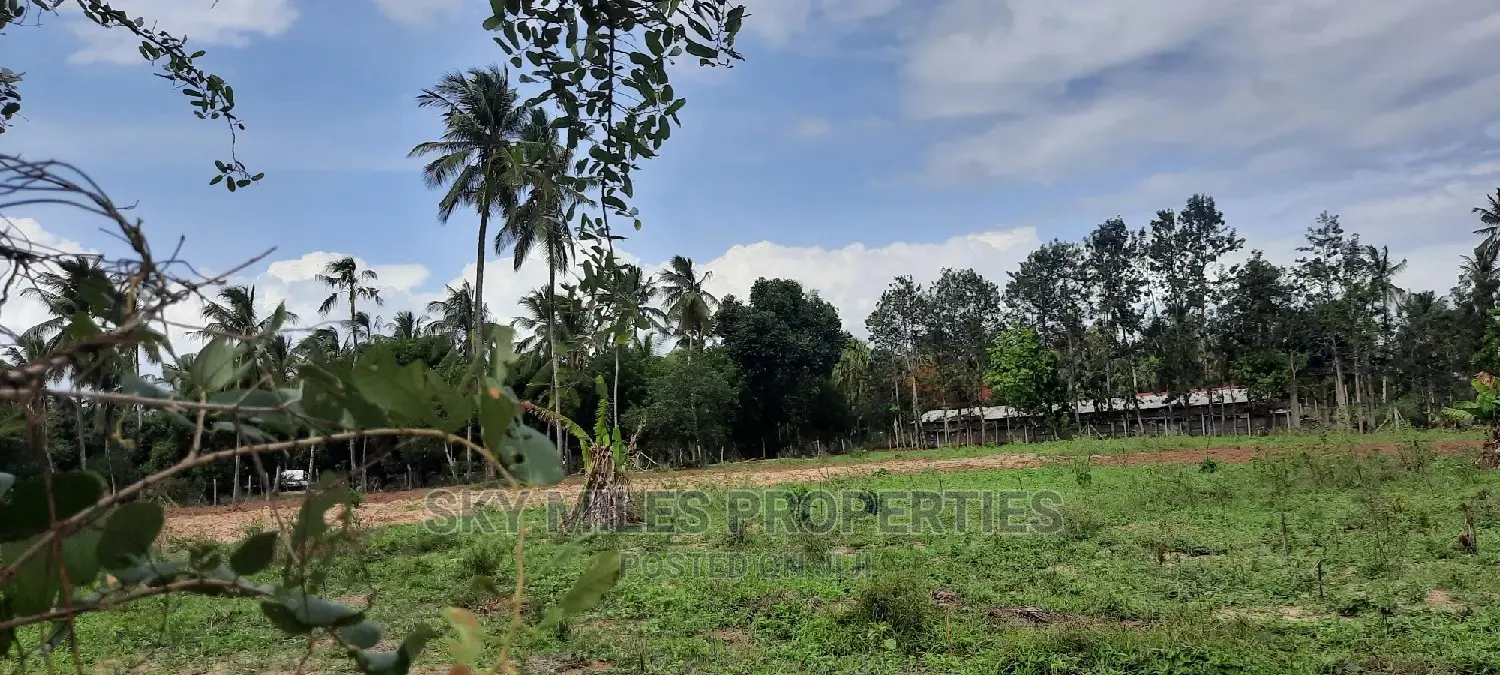 Bomani 6 Acres on Sale