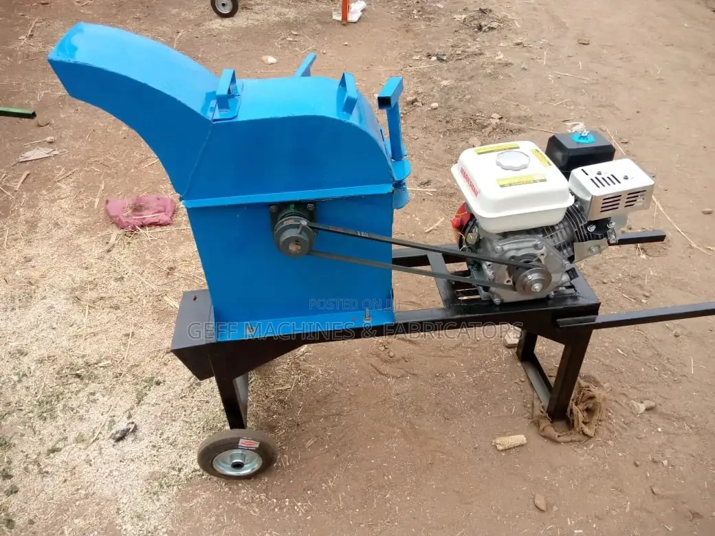 Petrol Engine Powered Chopper