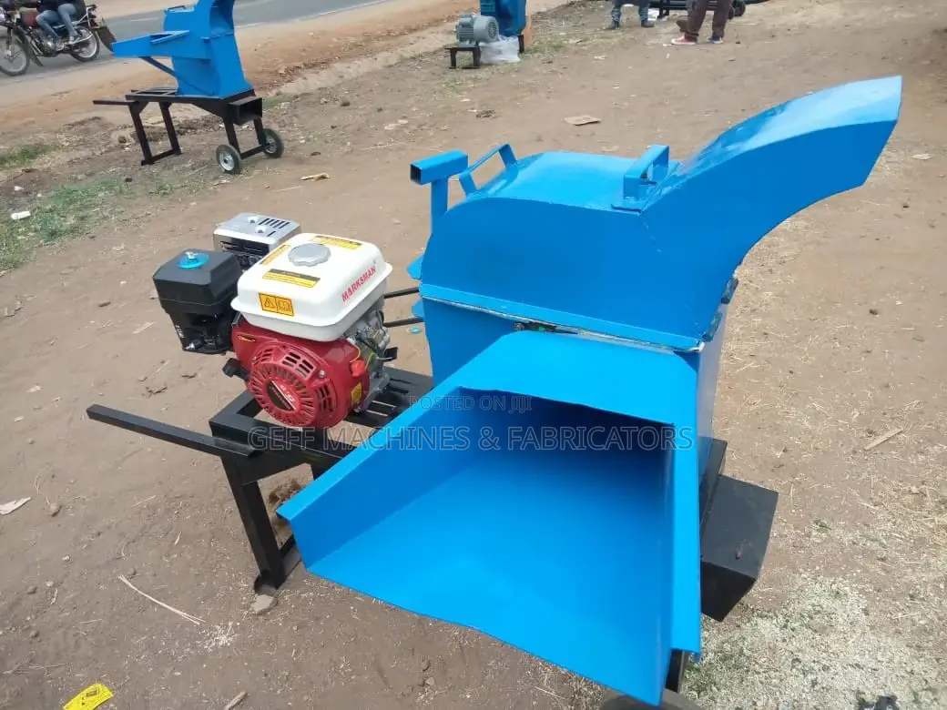 Petrol Engine Powered Chopper