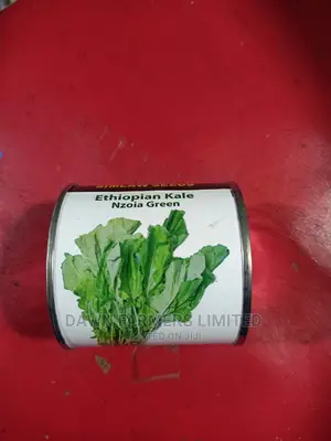 Ethiopian Kale (Kanzera) 50gms