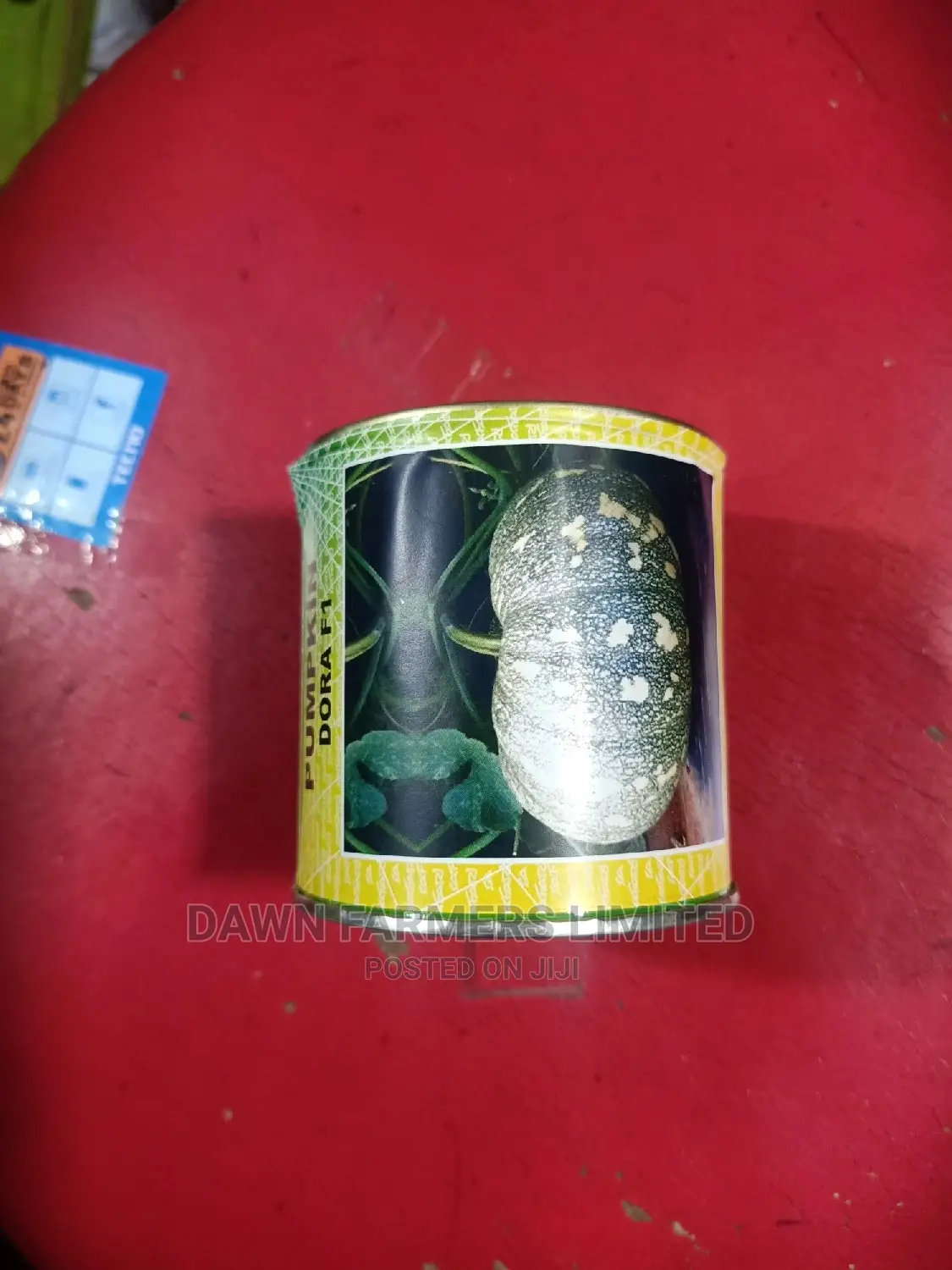 Pumpkin Dora F1 50gms