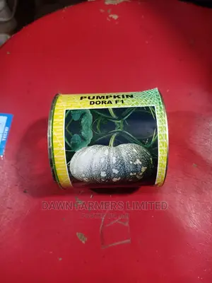 Pumpkin Dora F1 50gms
