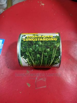 Corriander (Dhania) 50gms - main view